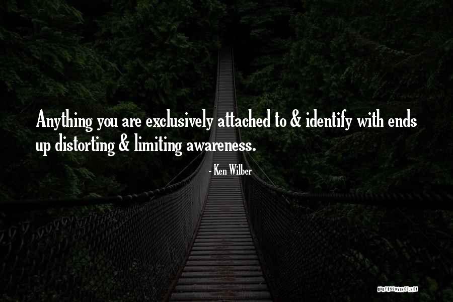 Chapuliers Quotes By Ken Wilber Chapuliers Quotes By Ken Wilber