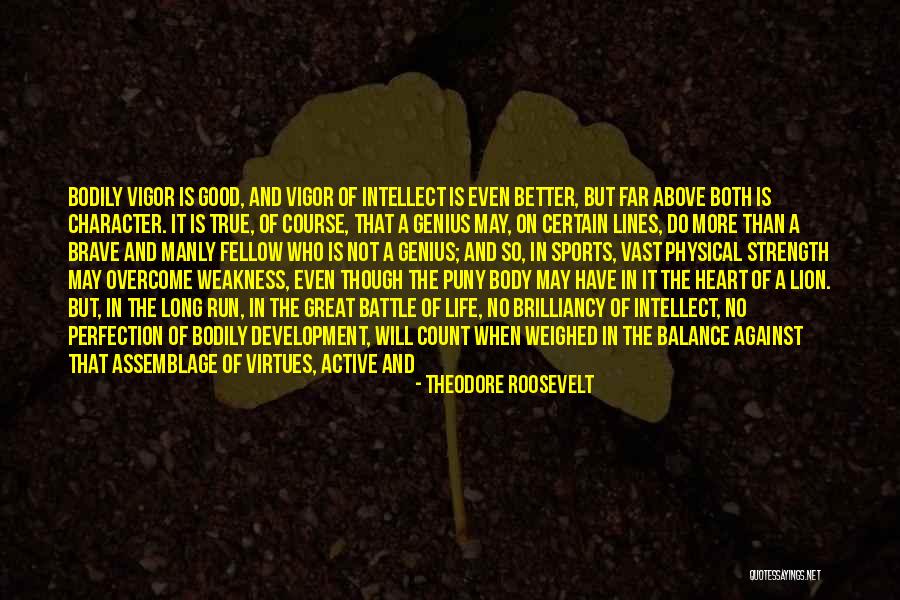 Character And Intellect Quotes By Theodore Roosevelt