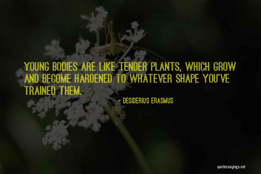 Character And Responsibility Quotes By Desiderius Erasmus Character And Responsibility Quotes By Desiderius Erasmus