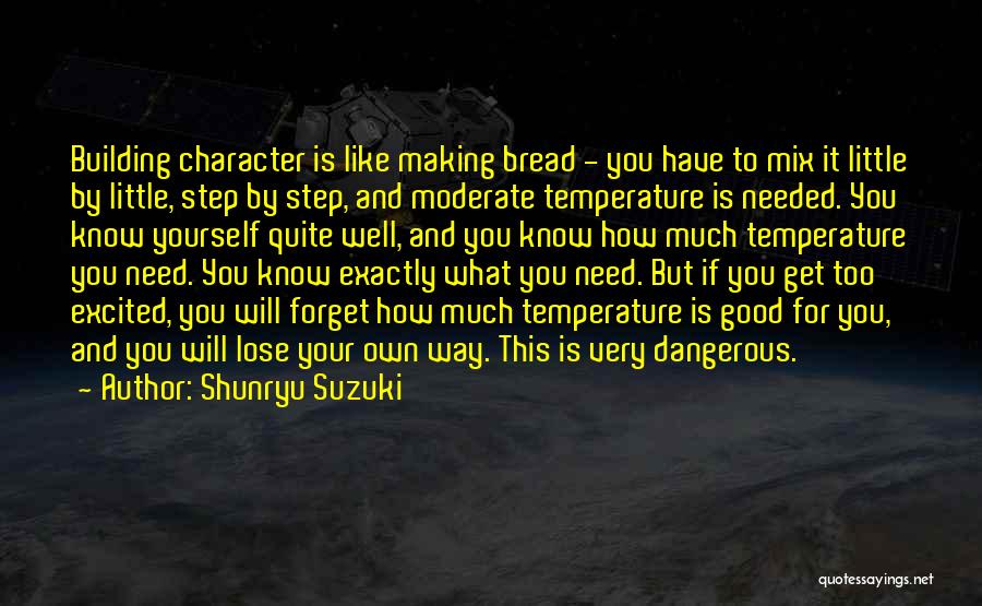 Character Building Quotes By Shunryu Suzuki