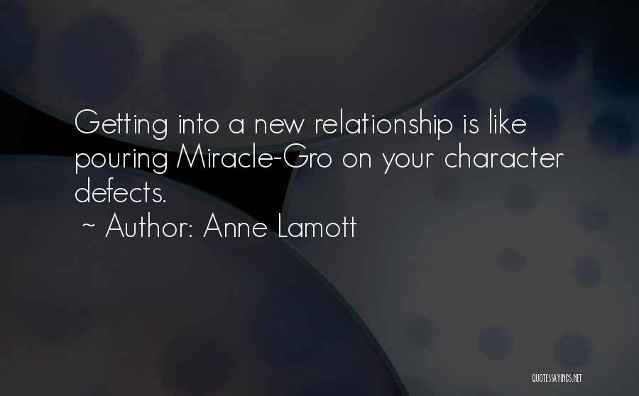 Character Defects Quotes By Anne Lamott