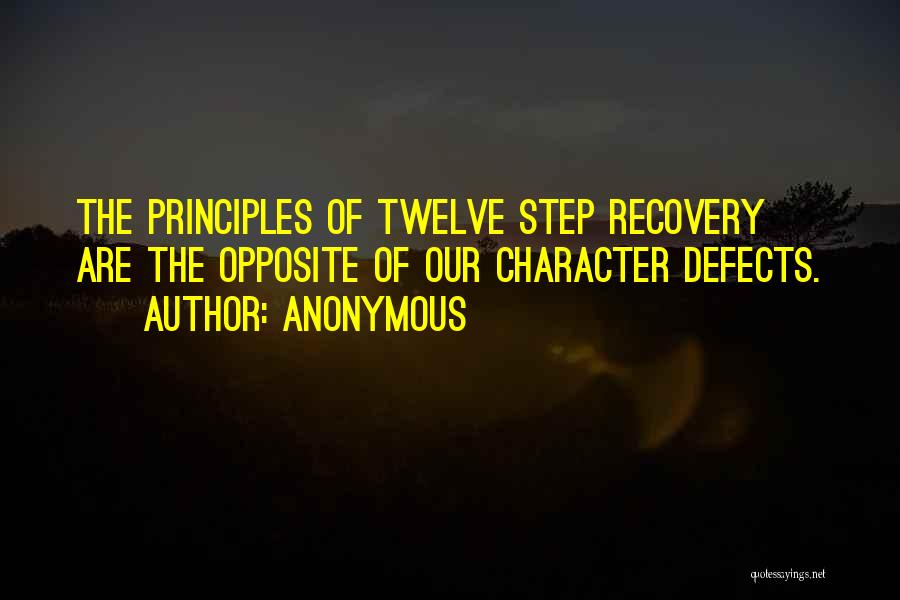 Character Defects Quotes By Anonymous