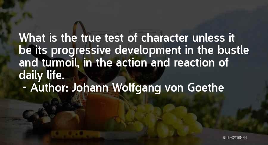 Character Development Quotes By Johann Wolfgang Von Goethe