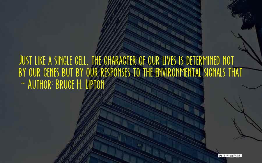 Character Is Determined Quotes By Bruce H. Lipton