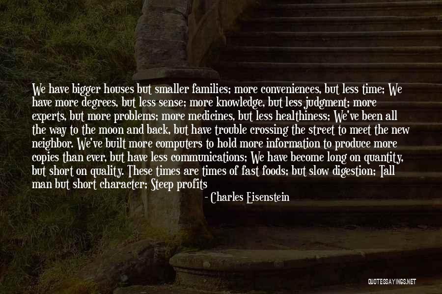 Character Less Quotes By Charles Eisenstein