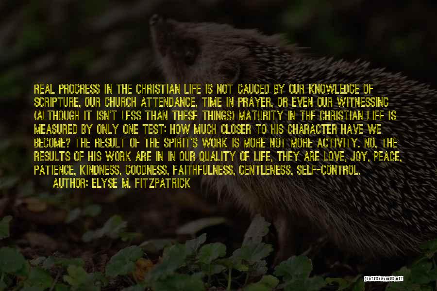 Character Not Time Quotes By Elyse M. Fitzpatrick