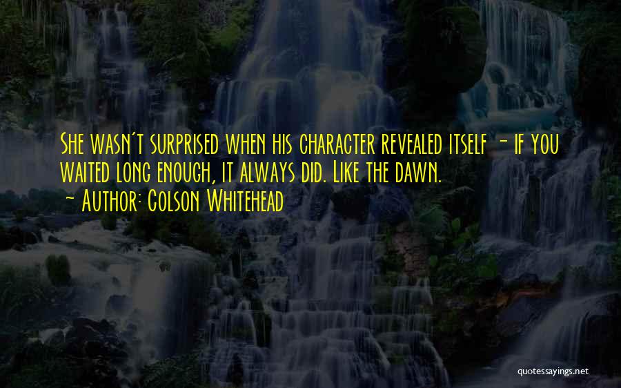 Character Revealed Quotes By Colson Whitehead