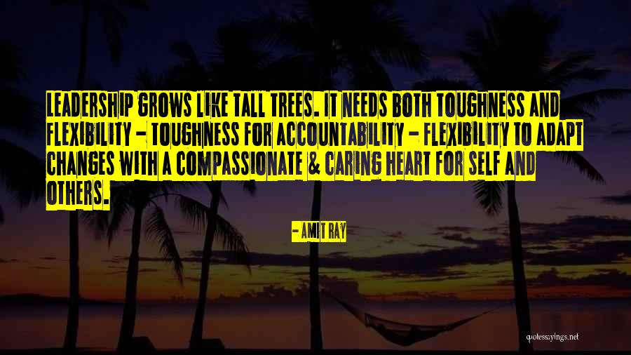 Characteristics Of A Leader Quotes By Amit Ray Characteristics Of A Leader Quotes By Amit Ray
