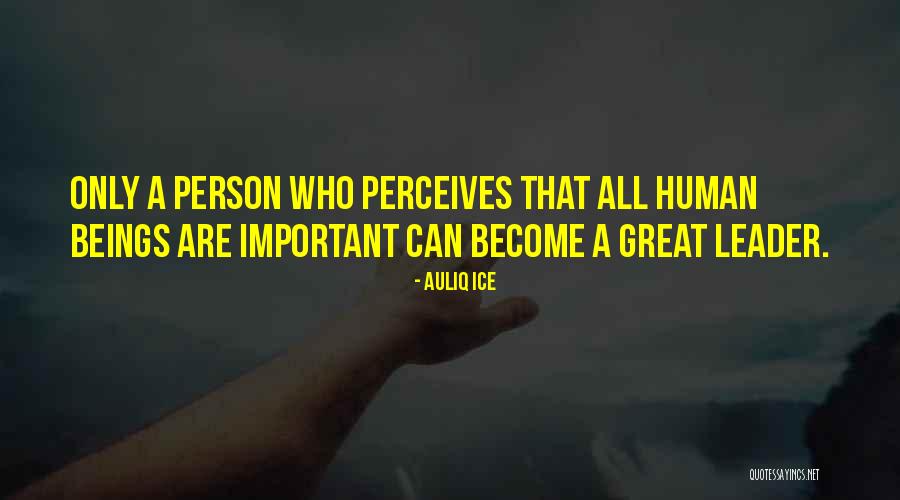 Characteristics Of A Leader Quotes By Auliq Ice Characteristics Of A Leader Quotes By Auliq Ice