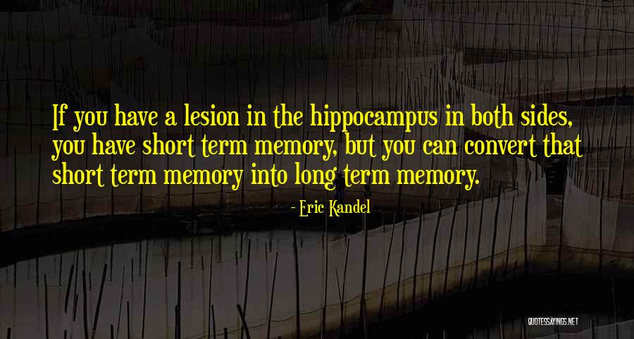 Charalambou Mouskou Quotes By Eric Kandel