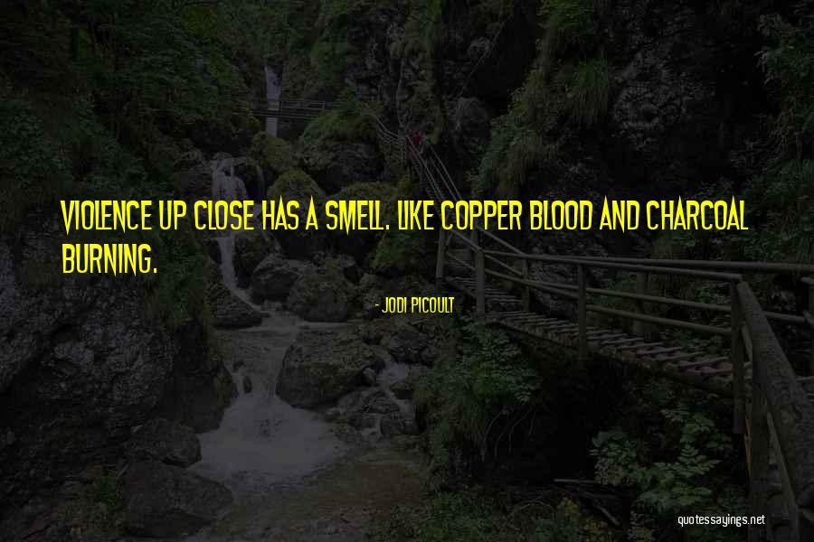 Charcoal Best Quotes By Jodi Picoult Charcoal Best Quotes By Jodi Picoult