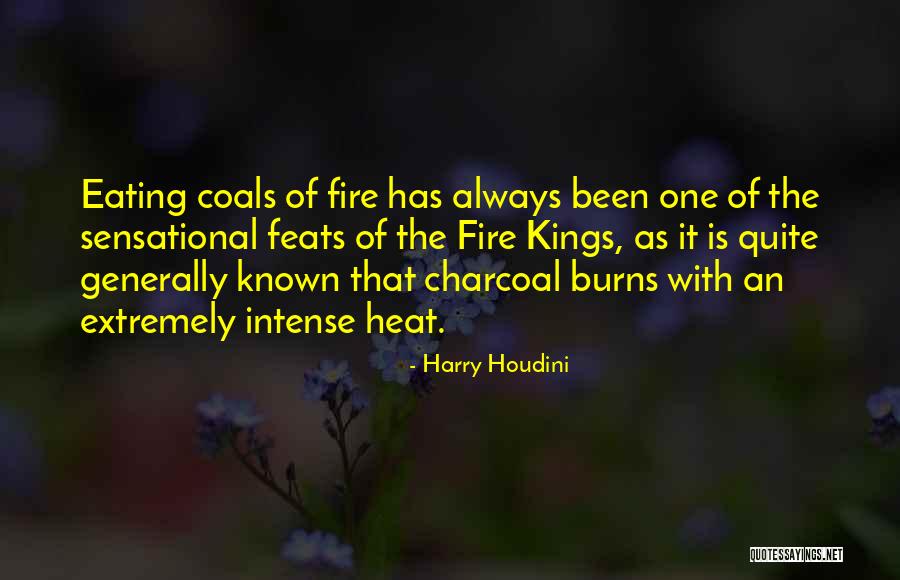 Charcoal Quotes By Harry Houdini