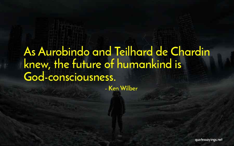 Chardin Quotes By Ken Wilber Chardin Quotes By Ken Wilber