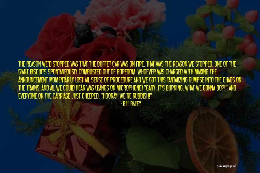 Charged Quotes By Bill Bailey Charged Quotes By Bill Bailey