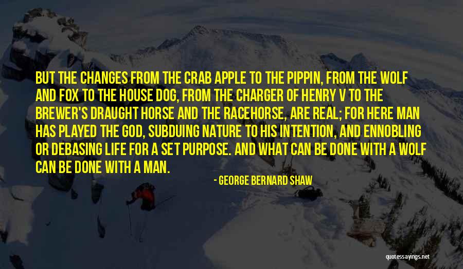 Charger Quotes By George Bernard Shaw