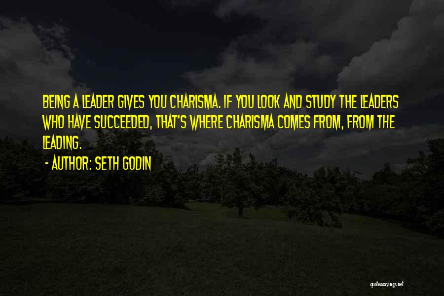 Charisma Leader Quotes By Seth Godin