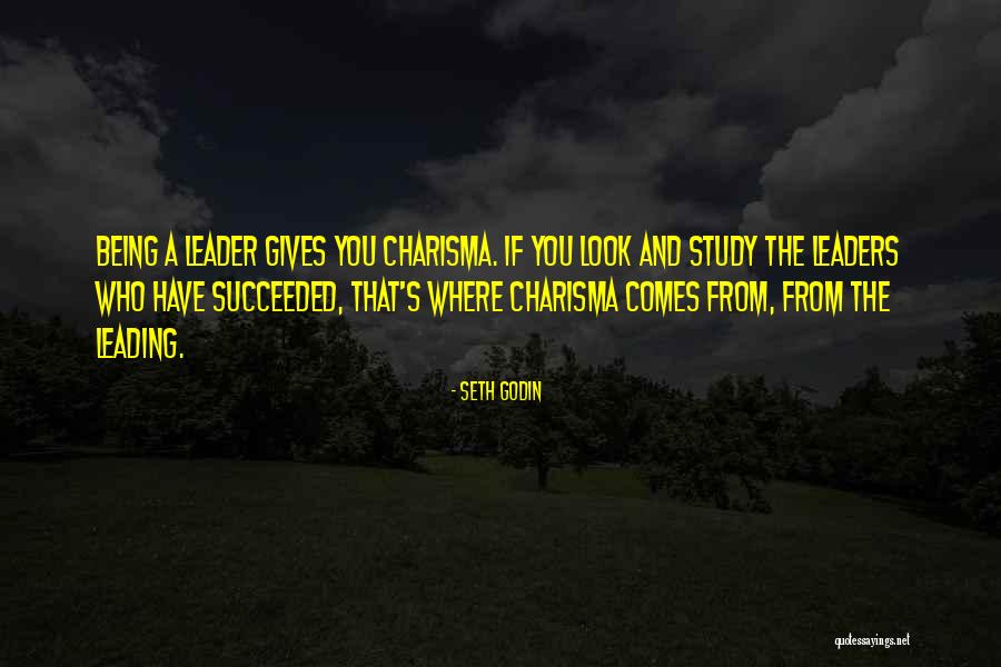 Charisma Leader Quotes By Seth Godin