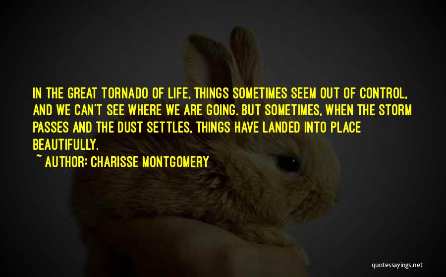 Charisse Montgomery Quotes 2109162