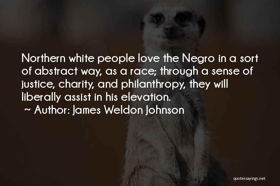 Charity And Justice Quotes By James Weldon Johnson