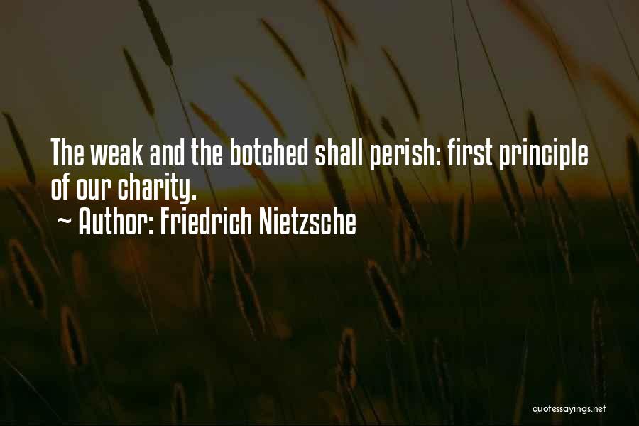 Charity Quotes By Friedrich Nietzsche