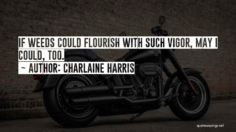 Charlaine Harris Quotes 1458484