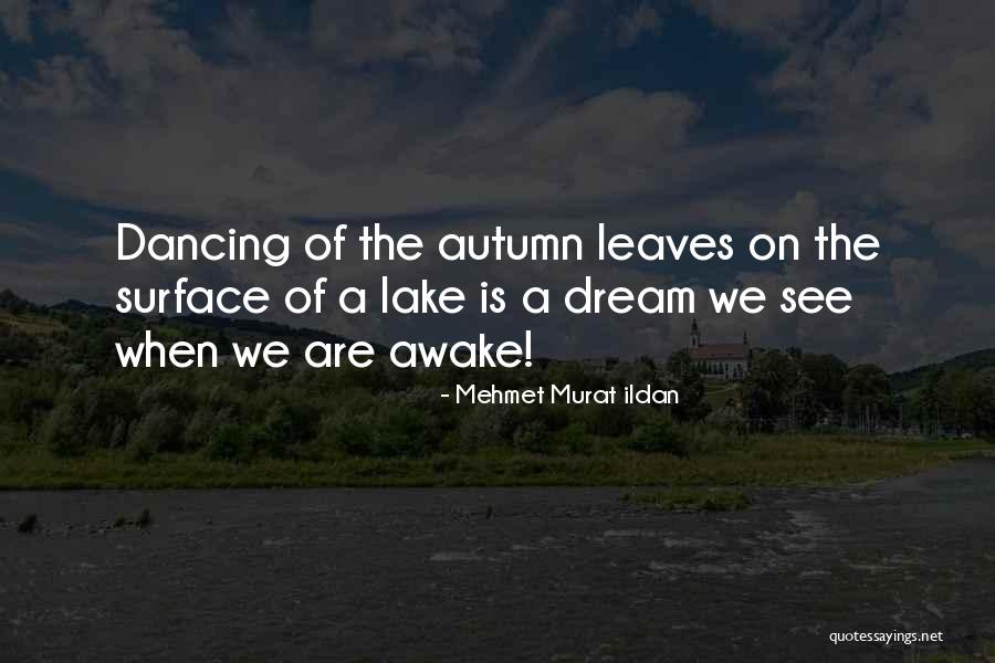 Charlap Law Quotes By Mehmet Murat Ildan Charlap Law Quotes By Mehmet Murat Ildan