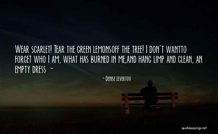 Charleigh Bailey Quotes By Denise Levertov Charleigh Bailey Quotes By Denise Levertov
