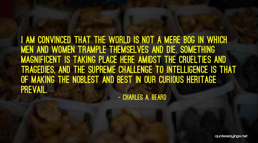 Charles A. Beard Quotes 482369