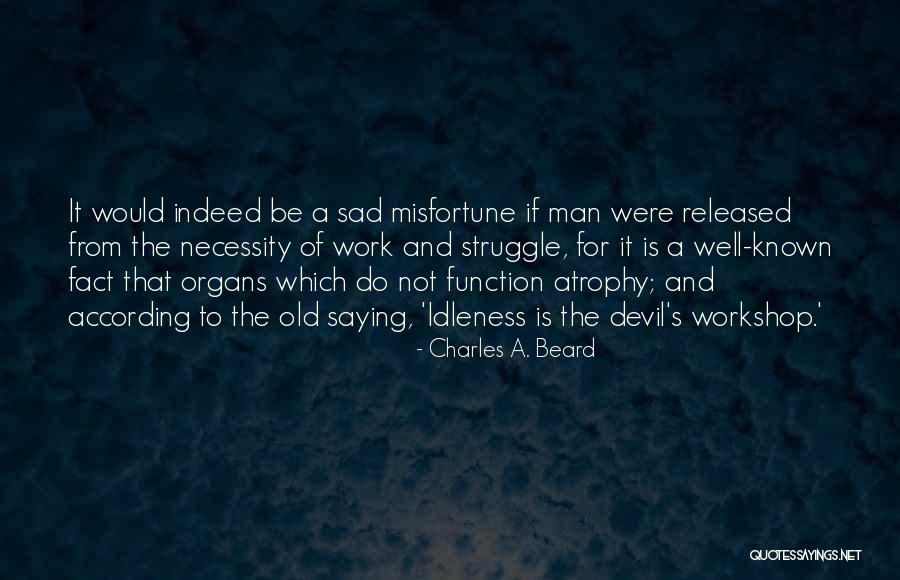 Charles A. Beard Quotes 487816