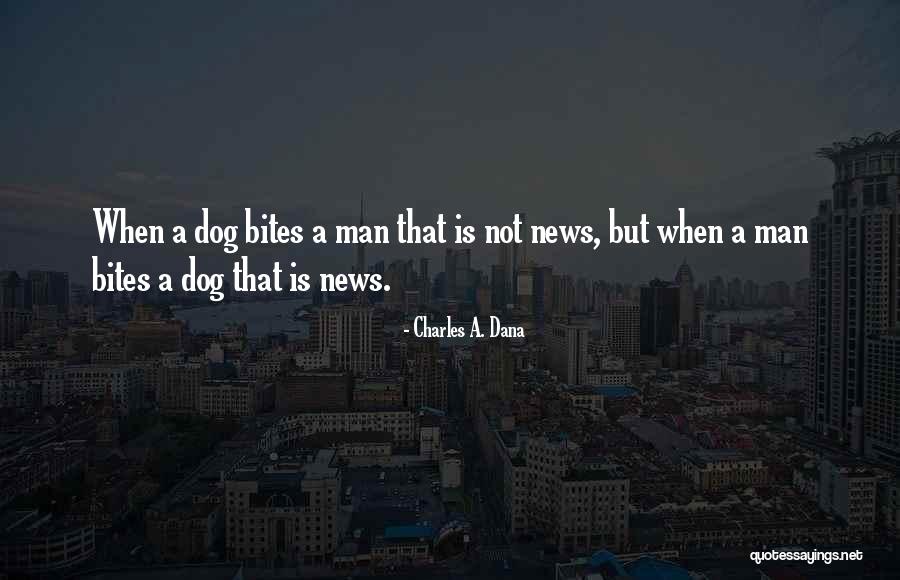 Charles A. Dana Quotes 129439