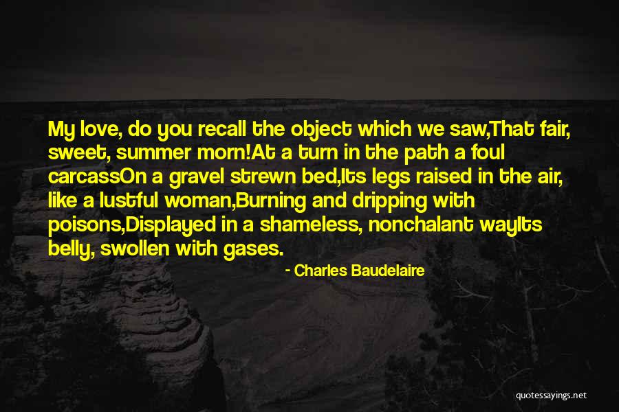 Charles Baudelaire Quotes 2094355 Charles Baudelaire Quotes 2094355