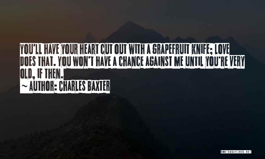 Charles Baxter Quotes 1418216