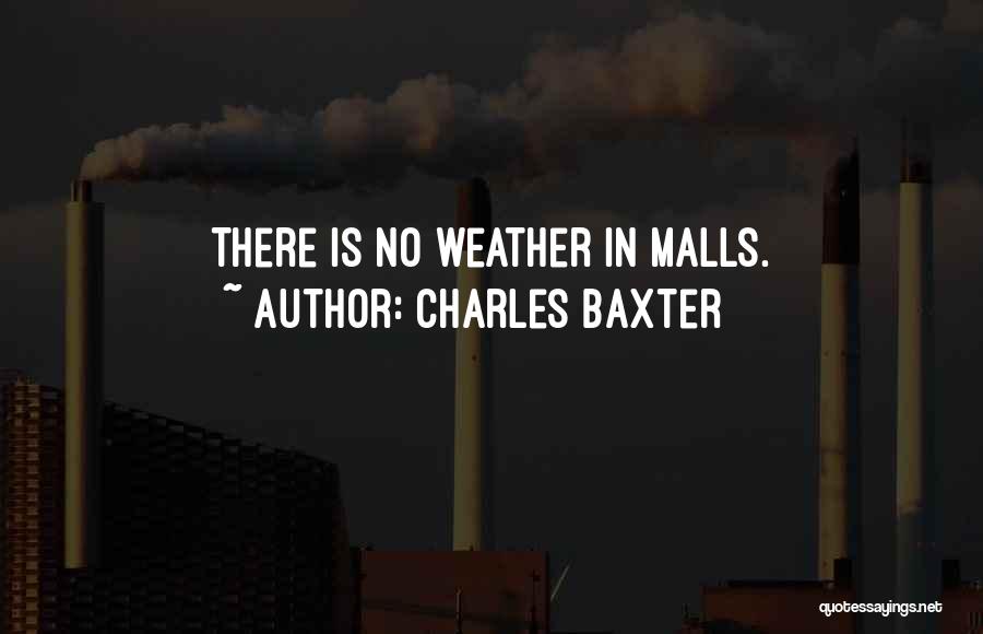 Charles Baxter Quotes 1953228