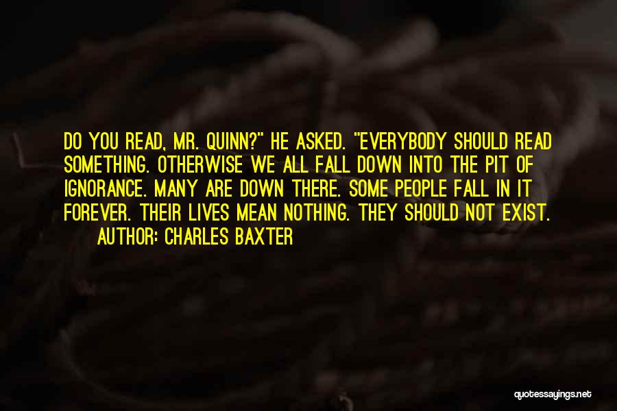 Charles Baxter Quotes 2124479