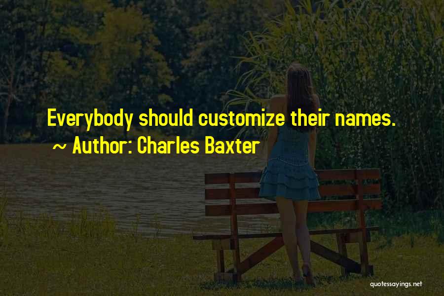 Charles Baxter Quotes 791305