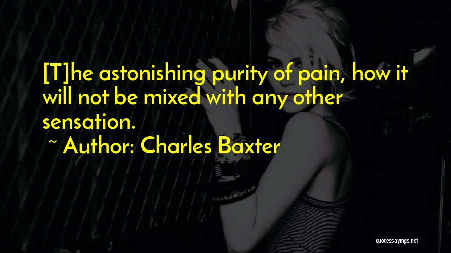 Charles Baxter Quotes 838931