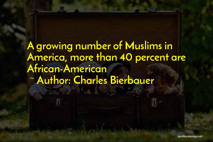 Charles Bierbauer Quotes 2134108