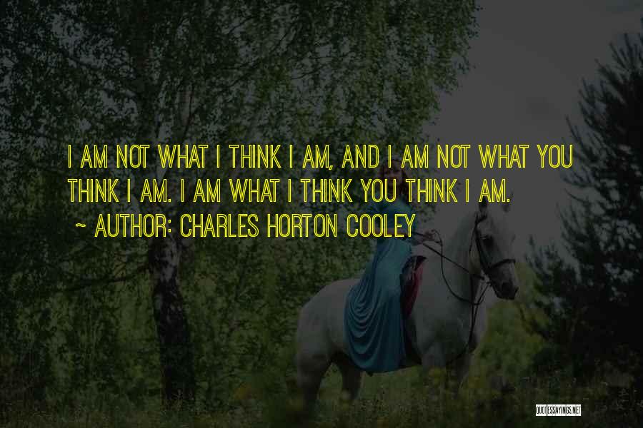 Charles Cooley Quotes By Charles Horton Cooley