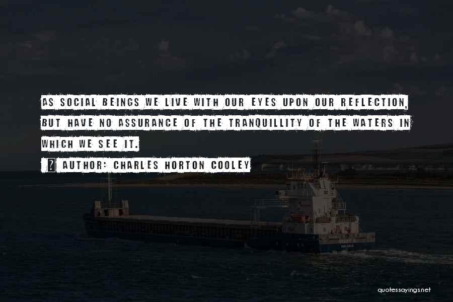 Charles Cooley Quotes By Charles Horton Cooley