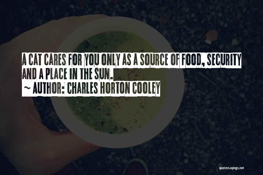 Charles Cooley Quotes By Charles Horton Cooley