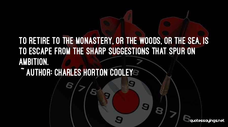 Charles Cooley Quotes By Charles Horton Cooley