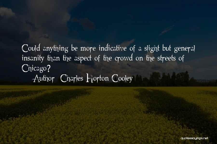 Charles Cooley Quotes By Charles Horton Cooley