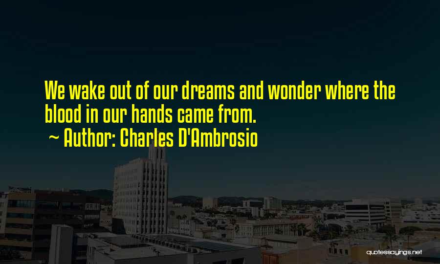 Charles D'Ambrosio Quotes 1152530