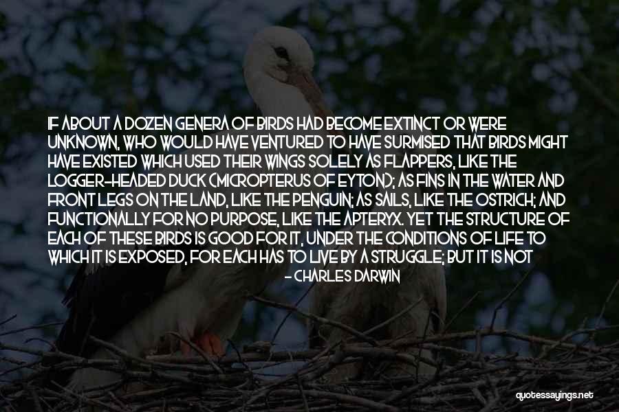 Charles Darwin Evolution Quotes By Charles Darwin Charles Darwin Evolution Quotes By Charles Darwin