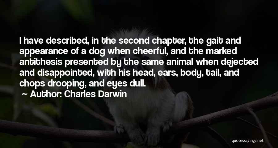 Charles Darwin Quotes 1895714