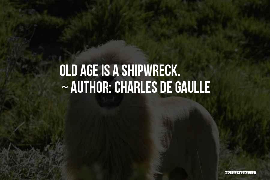 Charles De Gaulle Quotes 2012165
