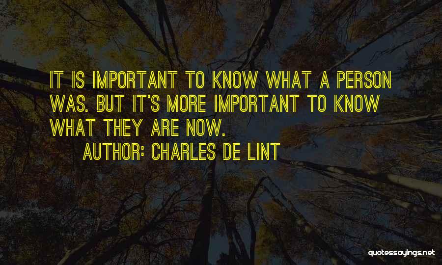 Charles De Lint Quotes 1088708