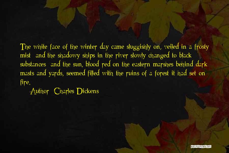 Charles Dickens Quotes 271458