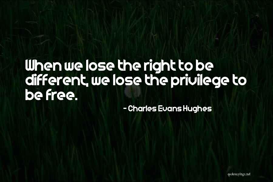 Charles Evans Hughes Quotes 1518017