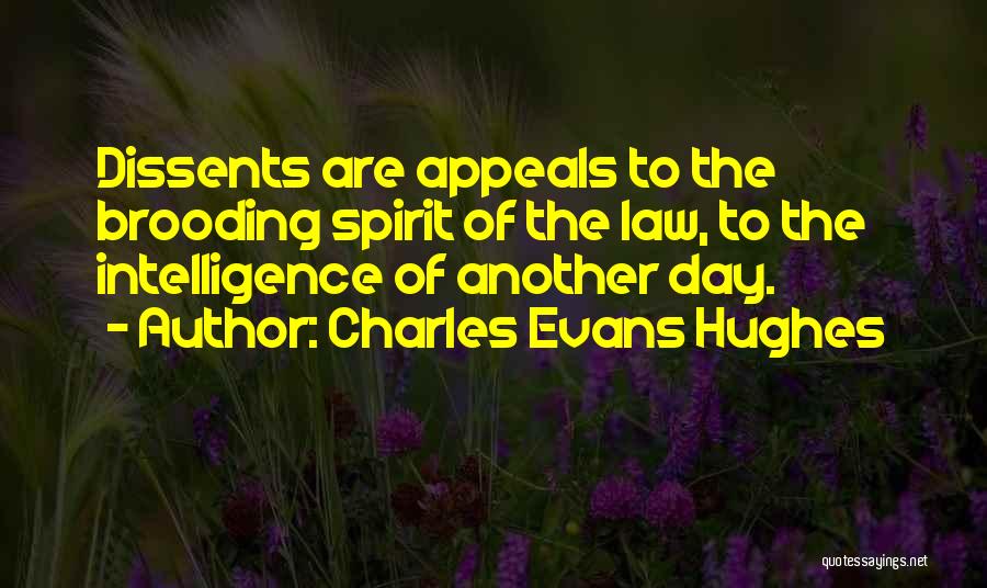 Charles Evans Hughes Quotes 955438